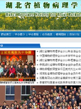 湖北省植物病理学会网站