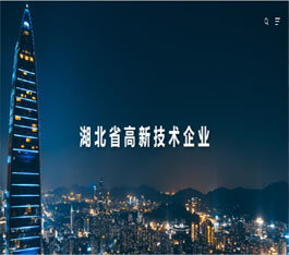 惟众信(湖北)科技电梯公司