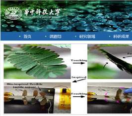 华中科技大学苏彬教授课题